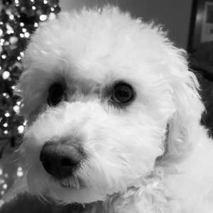 Meet your Posher, Jodi